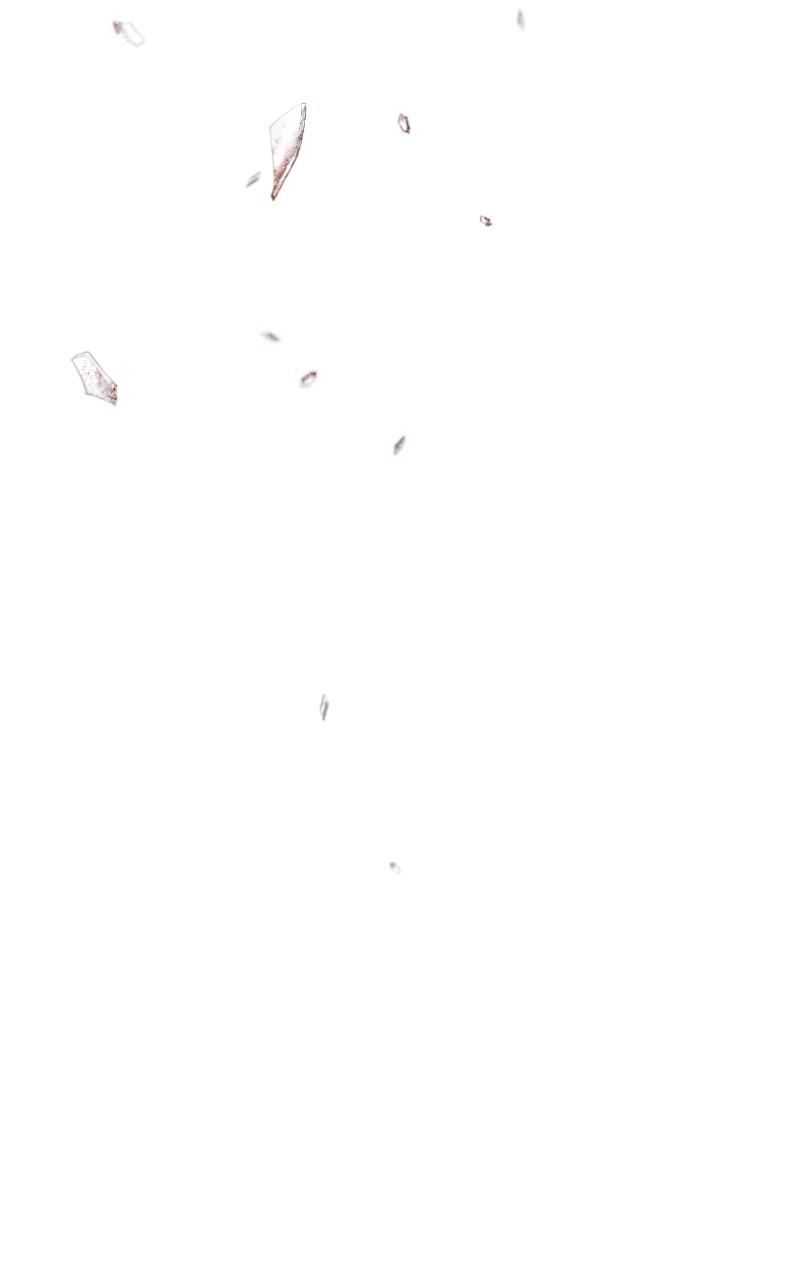 Like Wind on a Dry Branch chapter 157 page 123