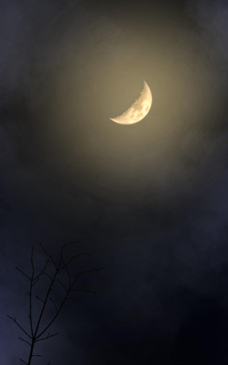 Like Wind on a Dry Branch chapter 157 page 85