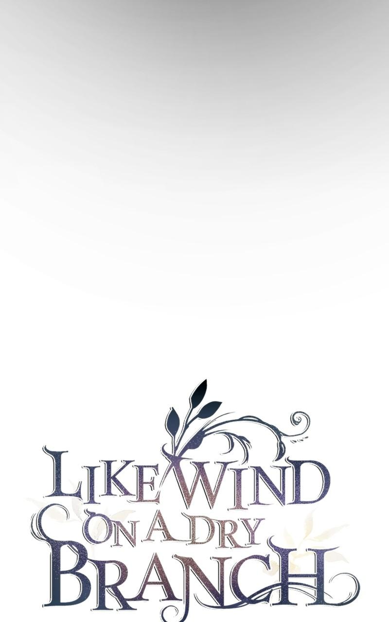 Like Wind on a Dry Branch chapter 164 page 5