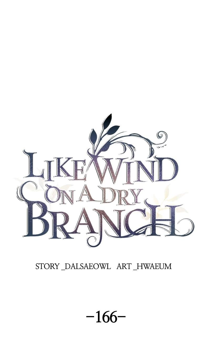 Like Wind on a Dry Branch chapter 166 page 1
