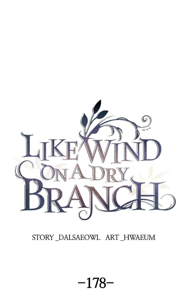 Like Wind on a Dry Branch chapter 178 page 1