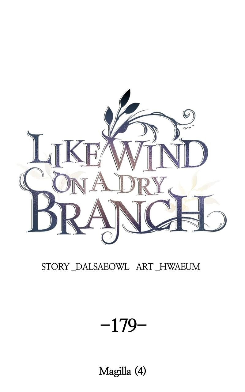 Like Wind on a Dry Branch chapter 179 page 1