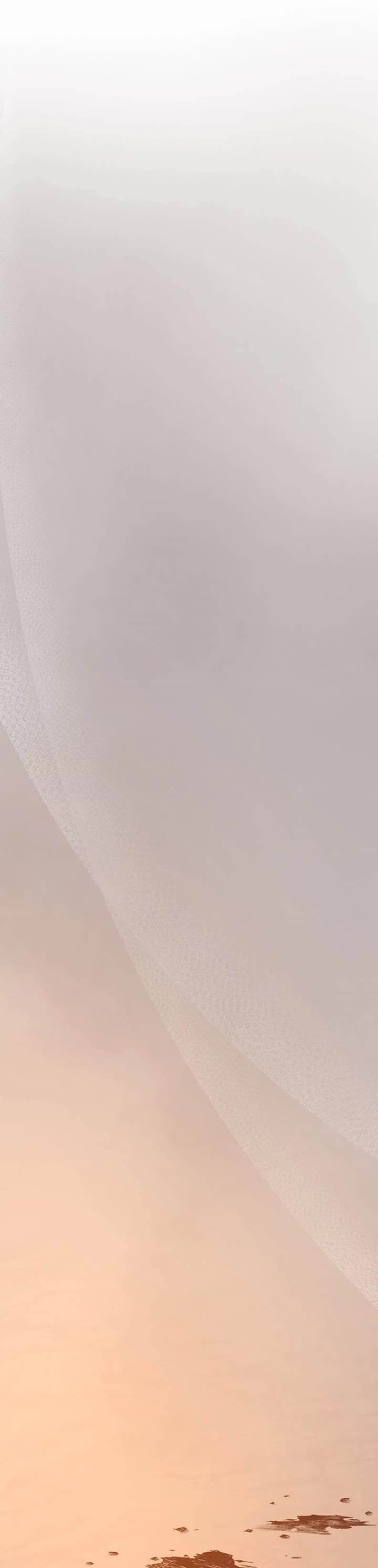 Like Wind on a Dry Branch chapter 212 page 19