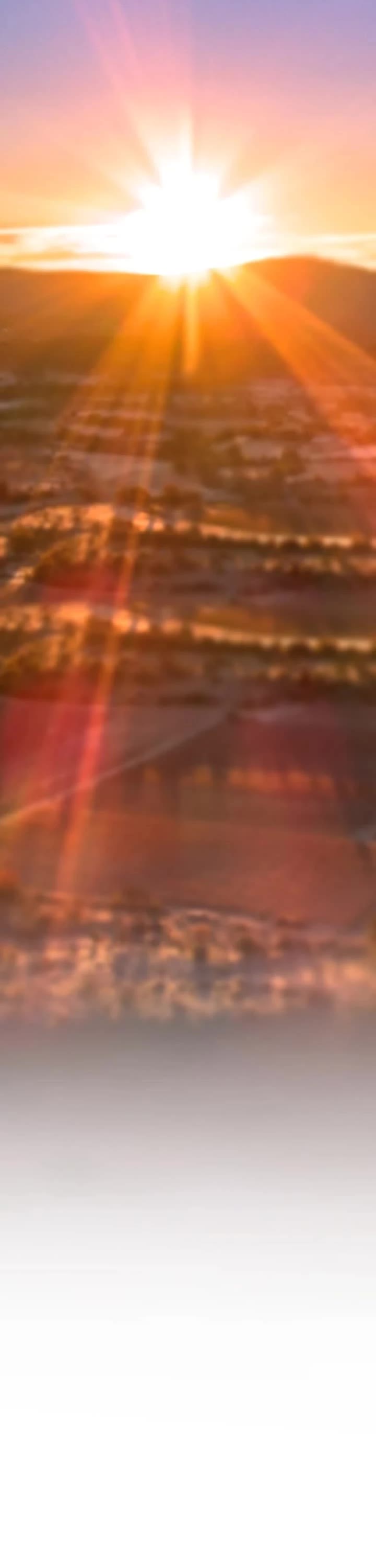 Like Wind on a Dry Branch chapter 212 page 2