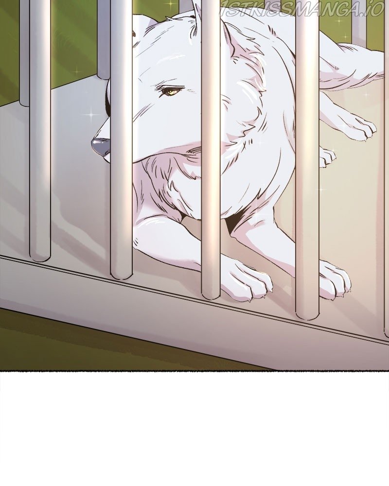 Like Wind on a Dry Branch chapter 82 page 82