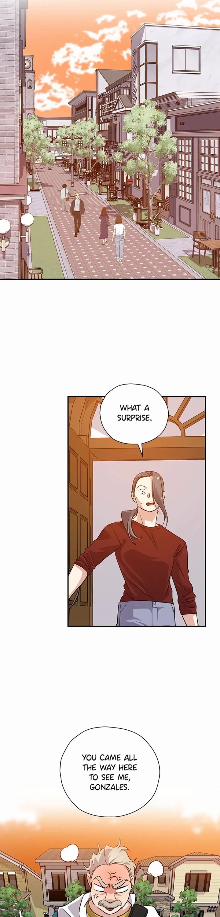 Long Live the Drama King chapter 66 page 17