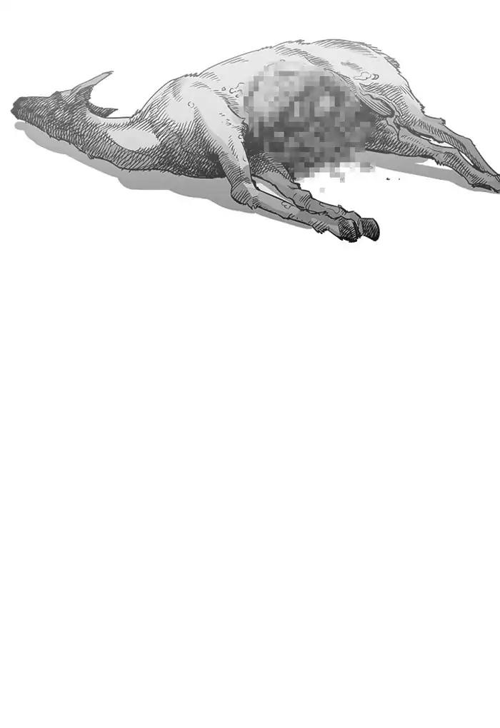 Lookism chapter 202 page 30