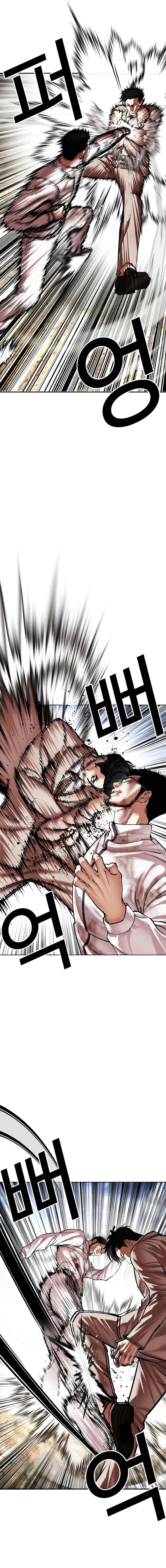 Lookism chapter 494 page 13