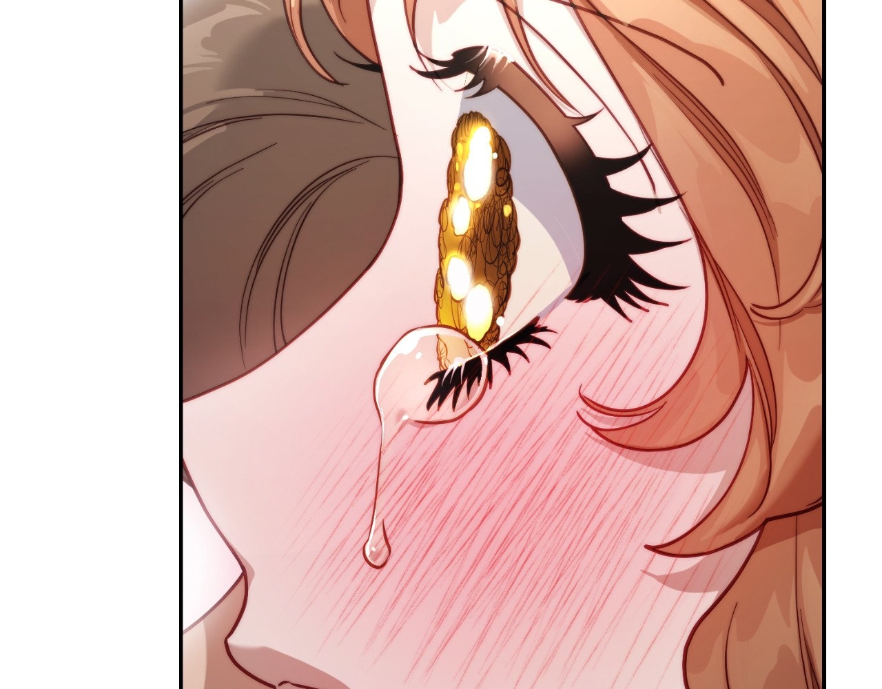 Lucia chapter 135 page 213