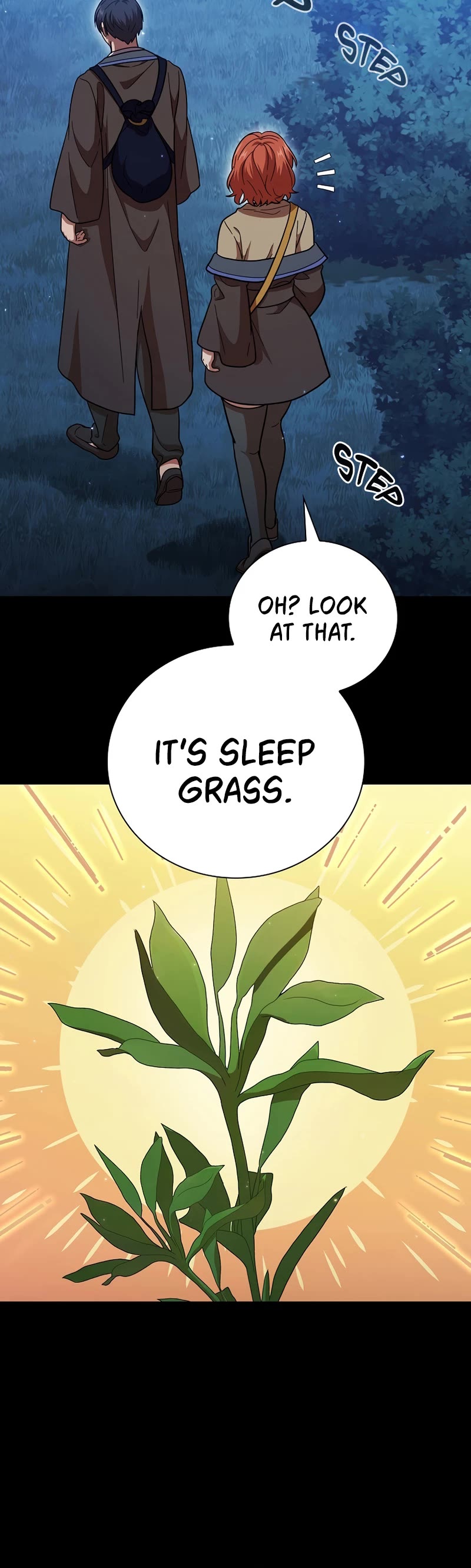 Magic Academy Survival Guide chapter 28 page 29