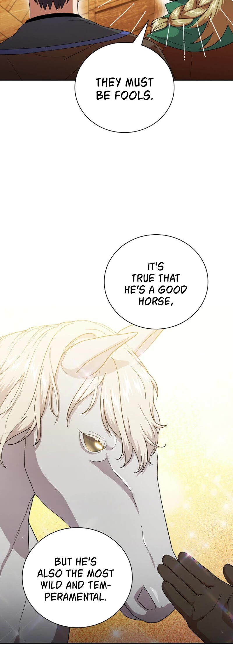 Magic Academy Survival Guide chapter 36 page 13