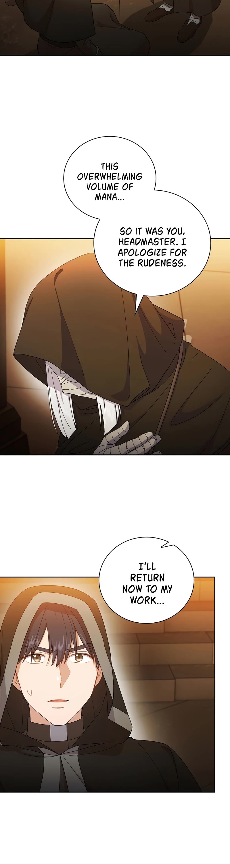 Magic Academy Survival Guide chapter 41 page 19