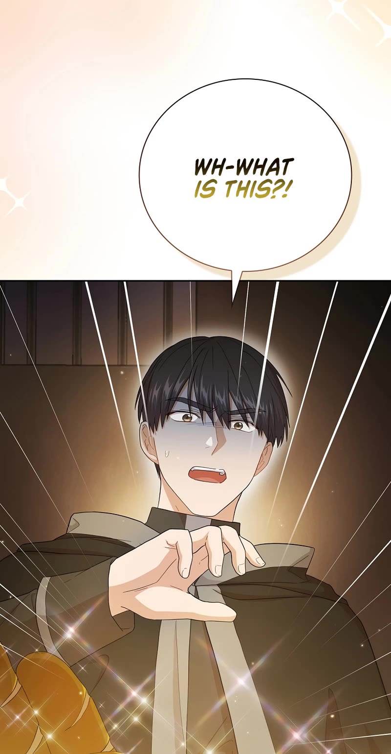 Magic Academy Survival Guide chapter 46 page 44