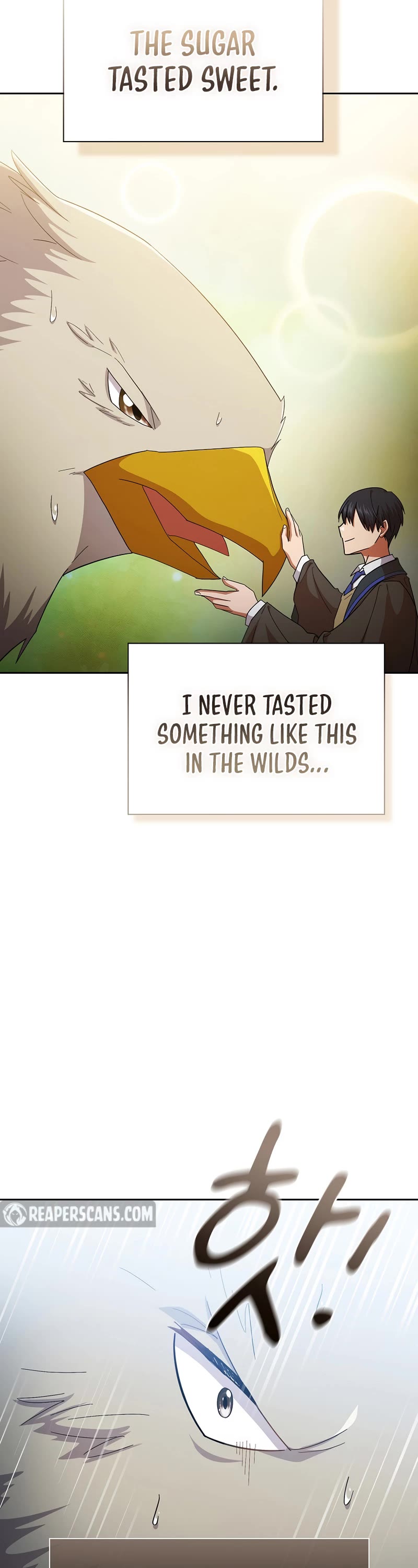 Magic Academy Survival Guide chapter 50 page 16