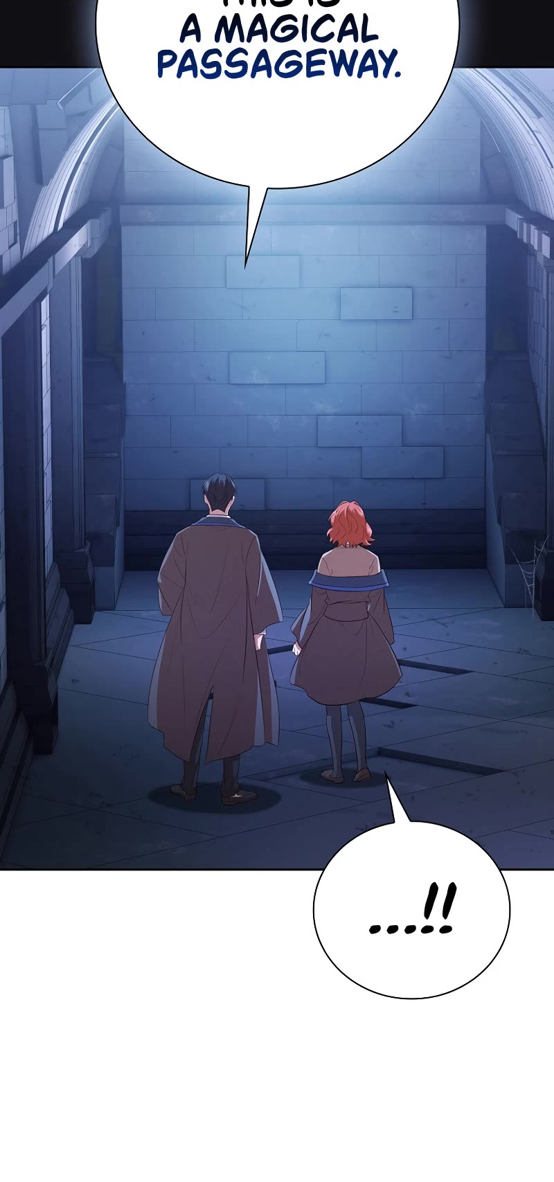 Magic Academy Survival Guide chapter 94 page 29