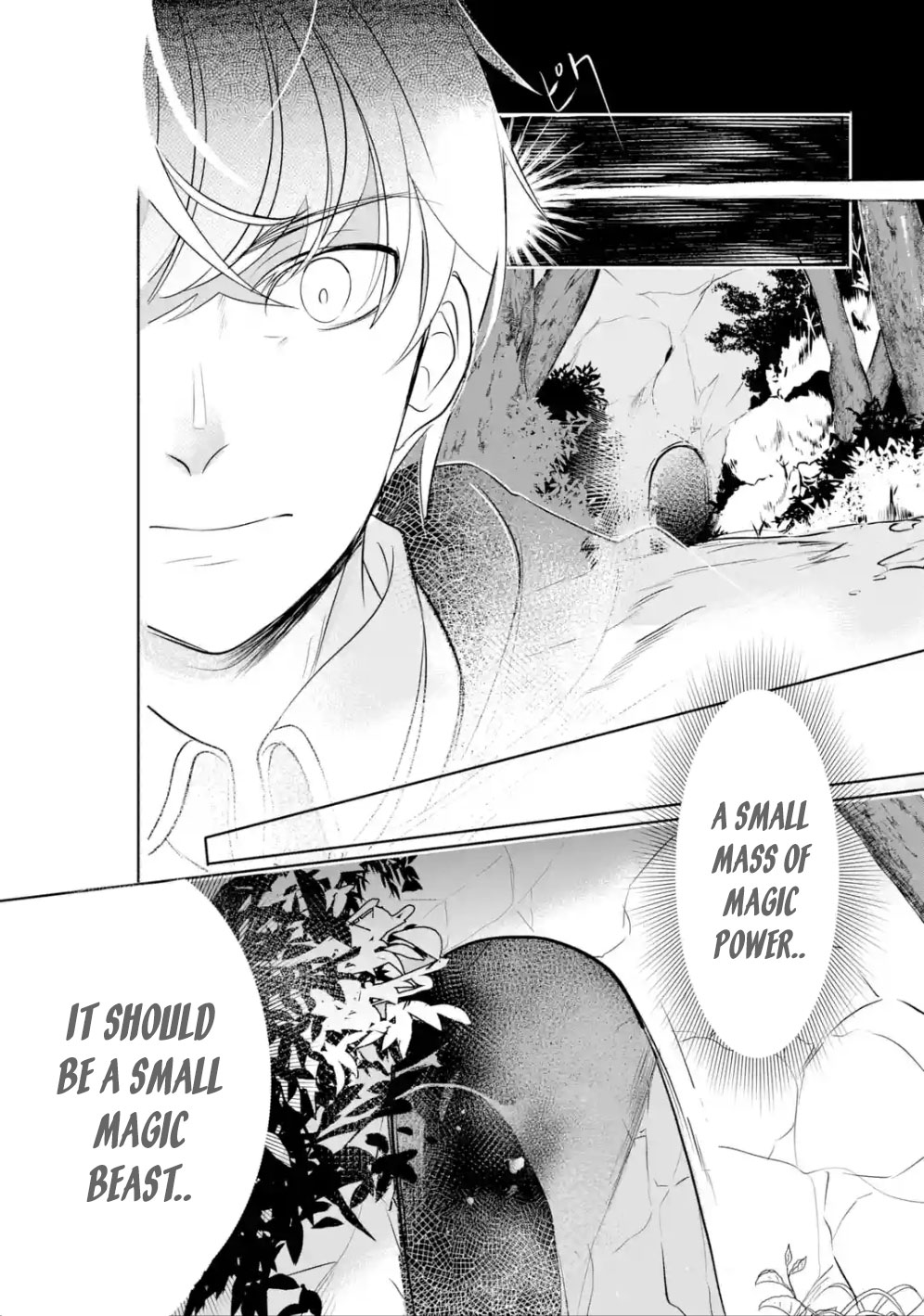 Mamono wo Shitagaeru "Teiin" wo Motsu Tensei Kenjya~ Katsute no Maho to Jyuma de Hissori Saikyo no Bokensha ninaru~ chapter 3.1 page 9