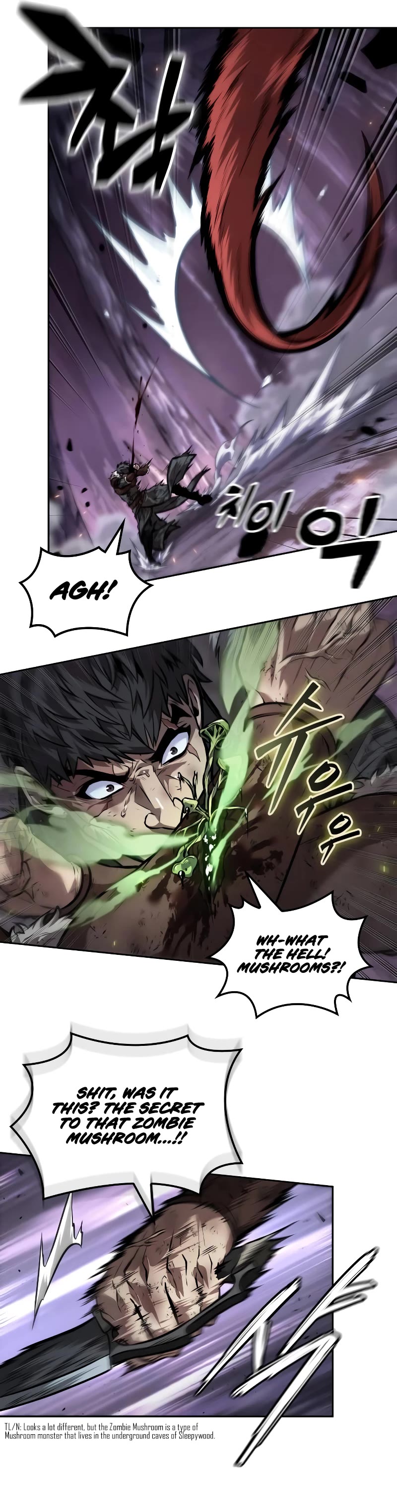 Maplestory: The Last Adventurer chapter 40 page 12