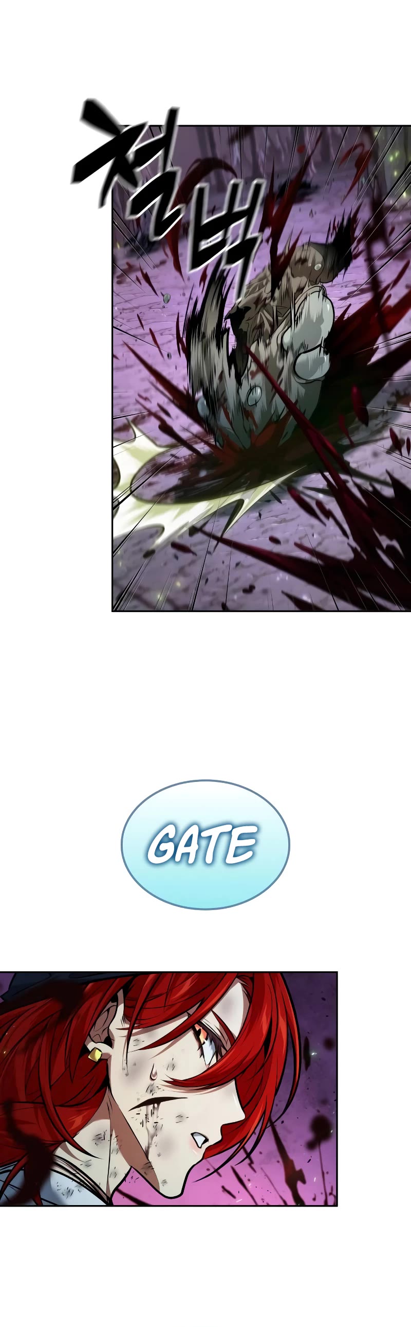 Maplestory: The Last Adventurer chapter 40 page 41