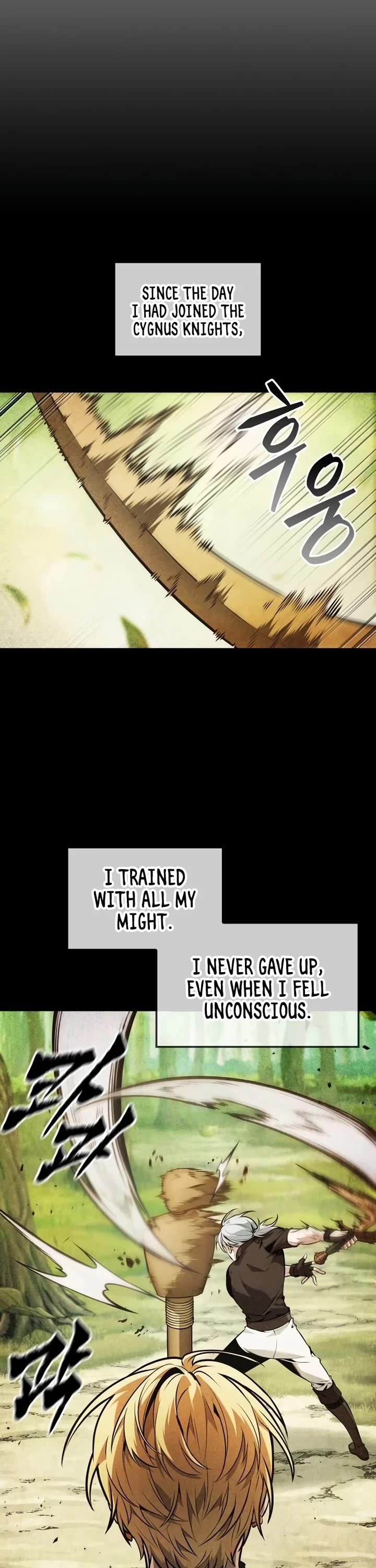 Maplestory: The Last Adventurer chapter 70 page 12