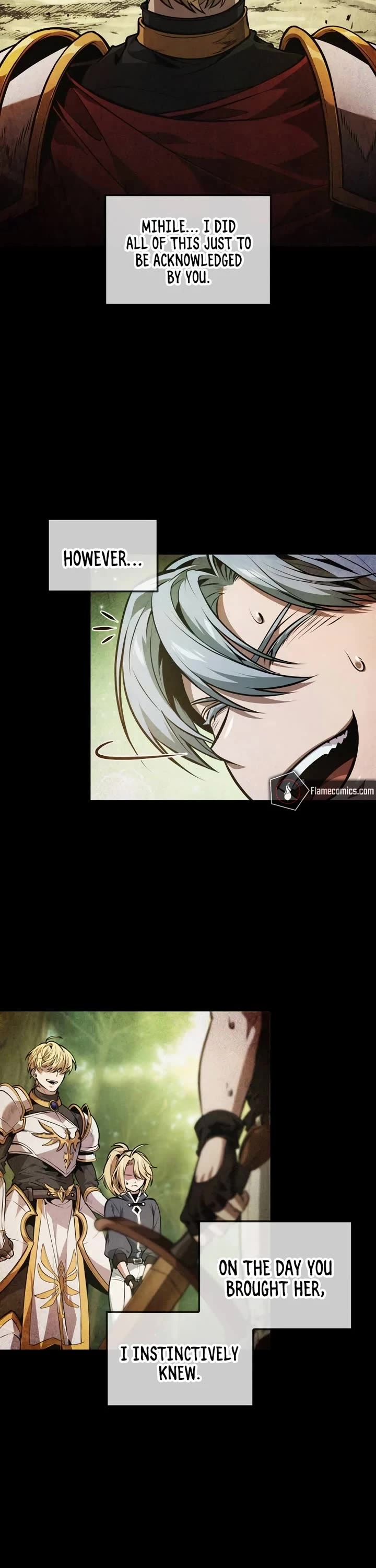 Maplestory: The Last Adventurer chapter 70 page 13