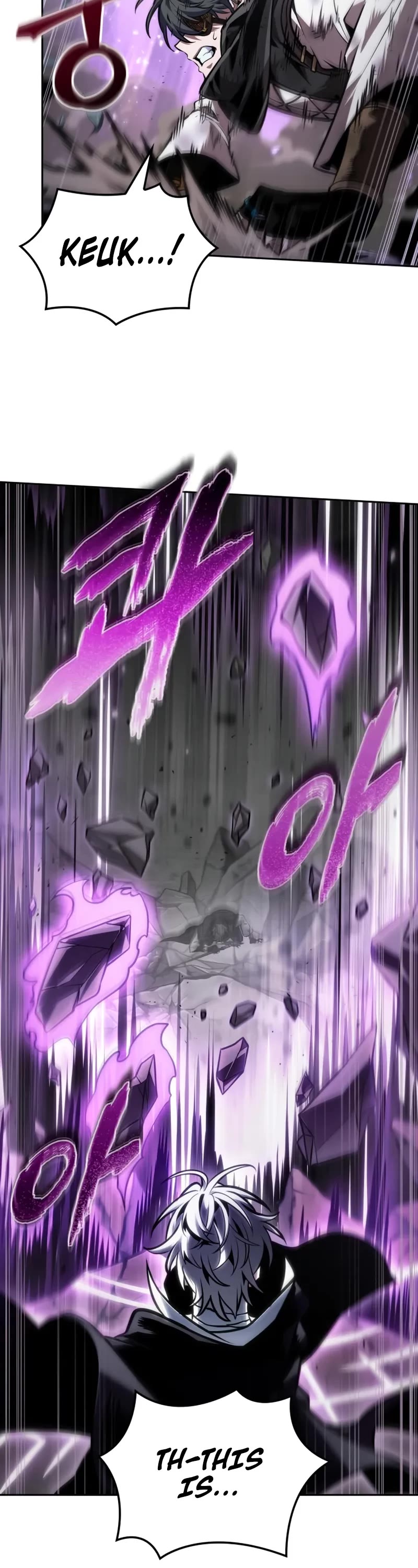 Maplestory: The Last Adventurer chapter 94 page 13