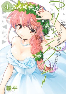 Cover of Marriage Gray