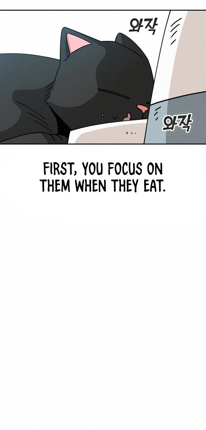 Match Made in Heaven by Chance chapter 26 page 32