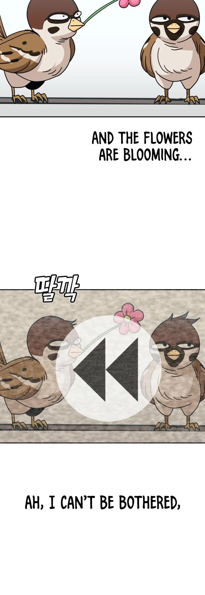 Match Made in Heaven by Chance chapter 29 page 19