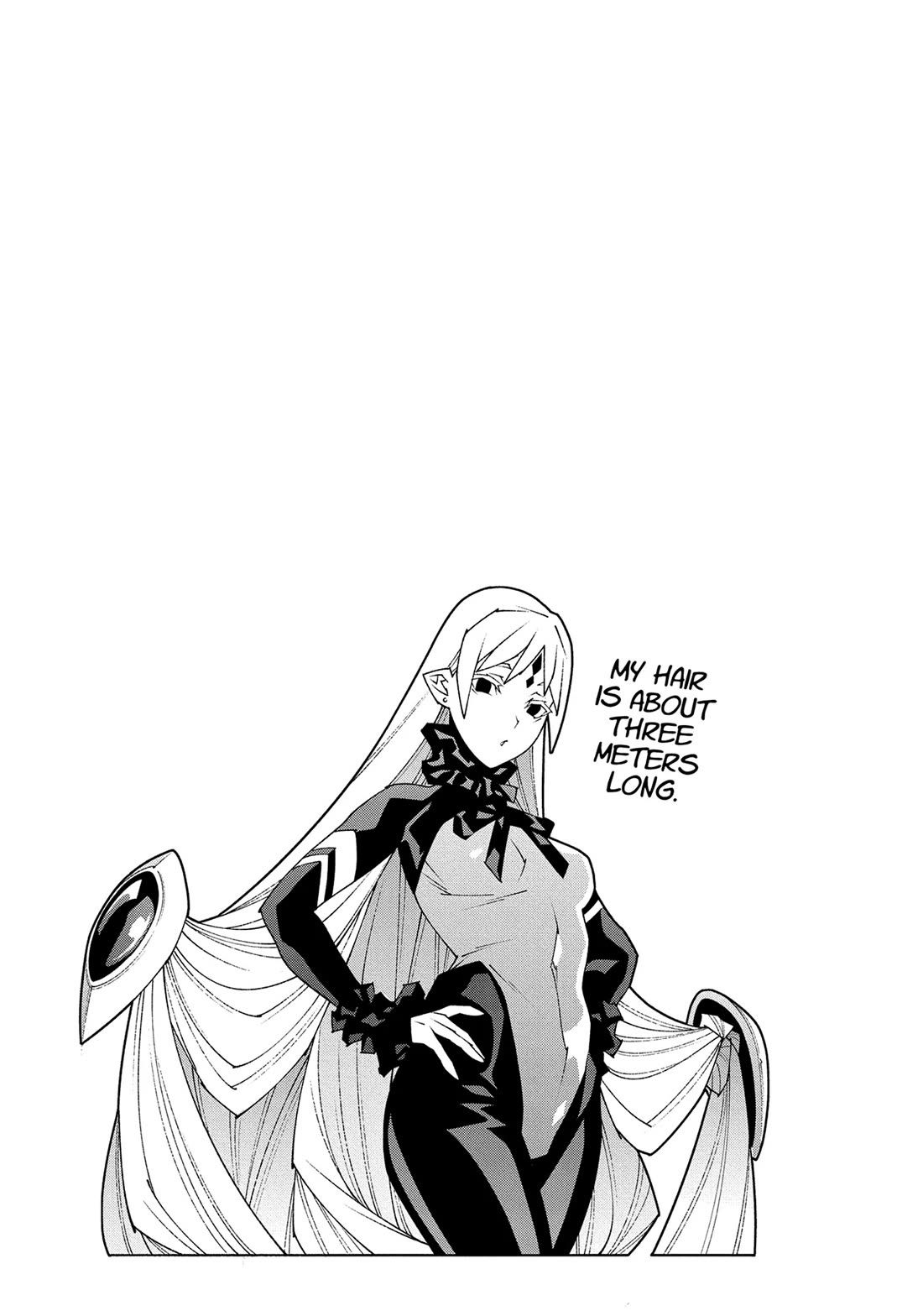 Meikyuu Black Company chapter 48 page 47