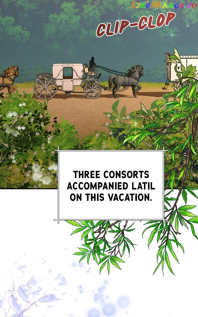 Men of the Harem chapter 125 page 17