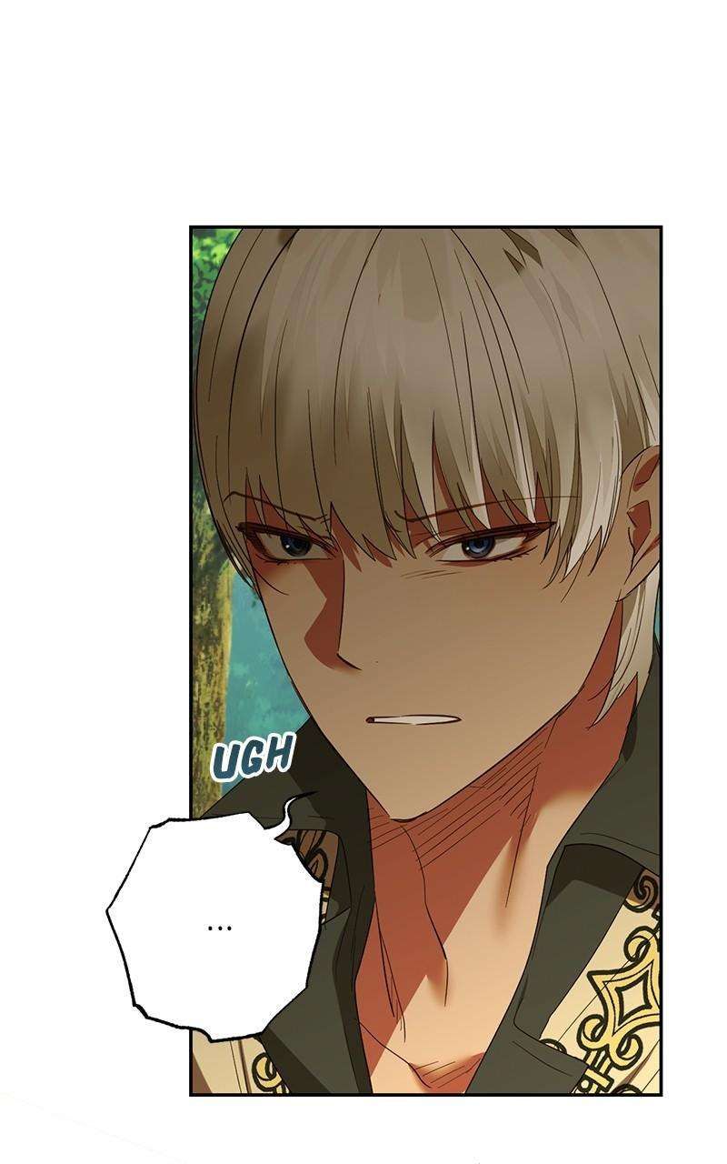 Men of the Harem chapter 135 page 27