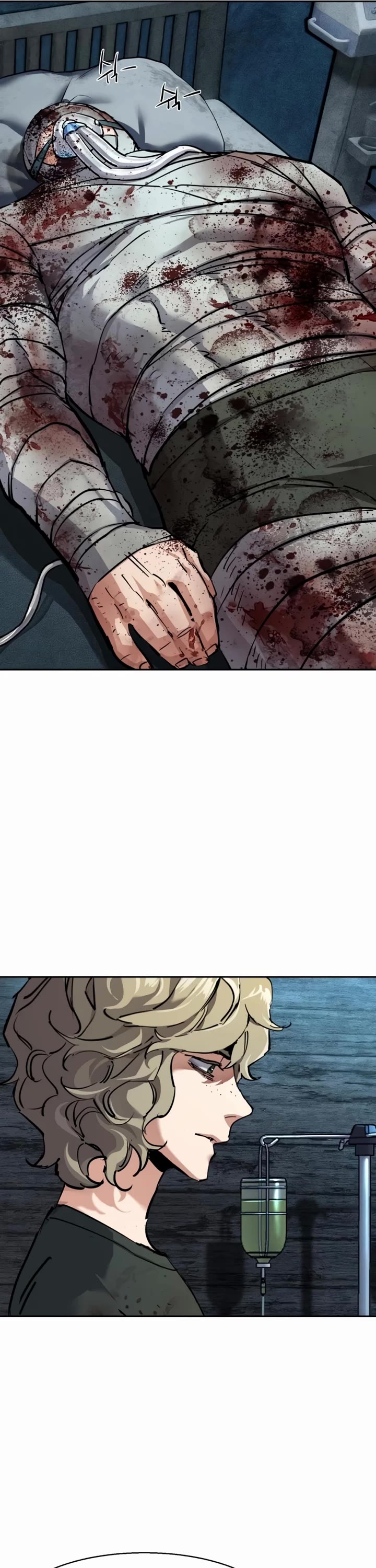 Mercenary Enrollment chapter 253 page 21