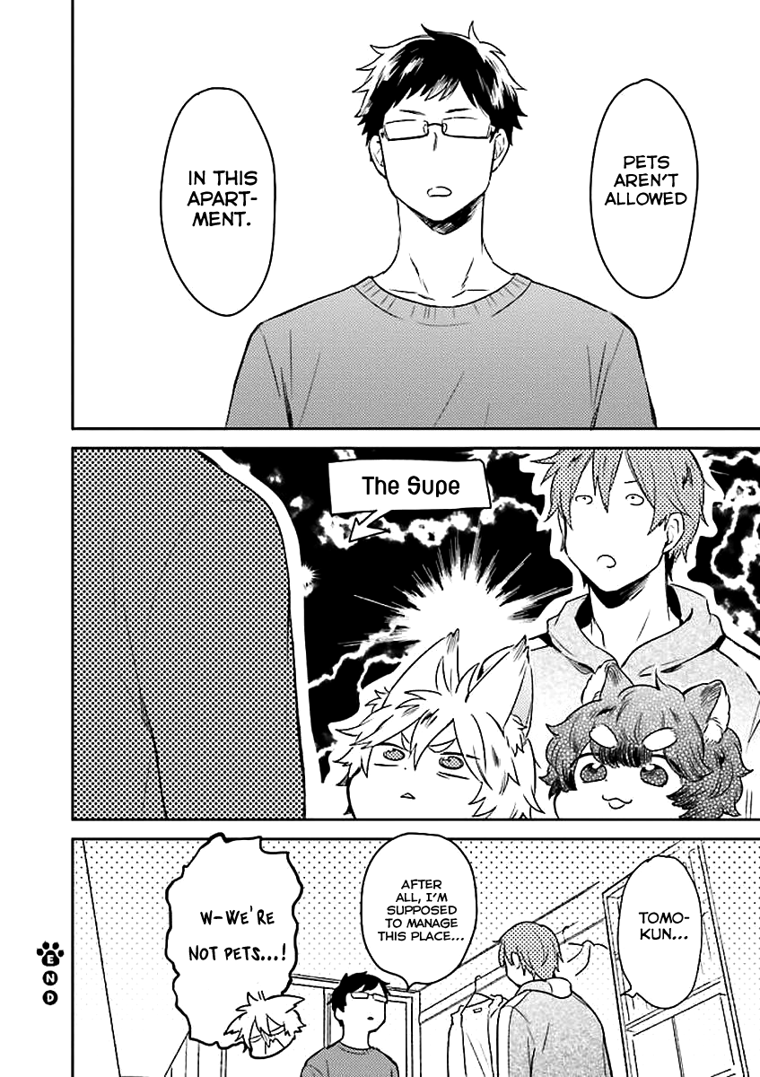 Mofumofu no Kamisama Sagashi chapter 2 page 19