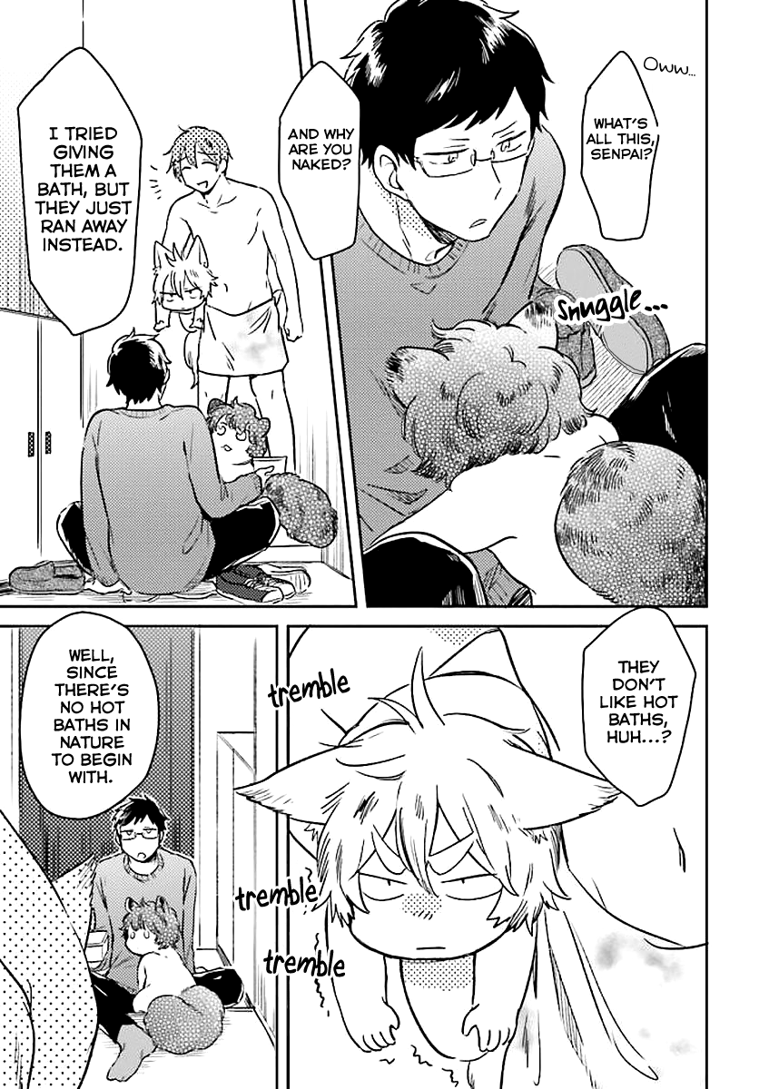 Mofumofu no Kamisama Sagashi chapter 3 page 4
