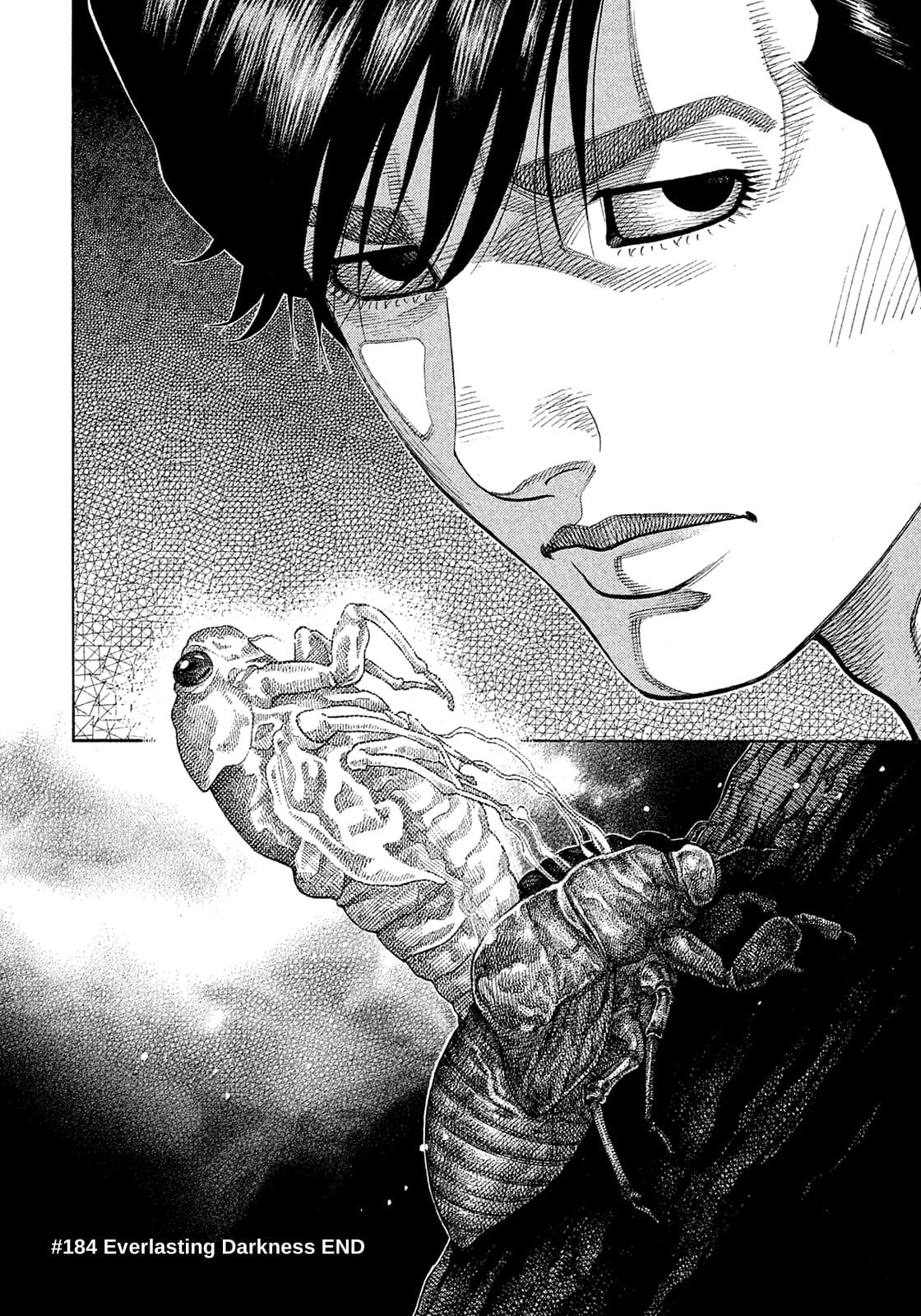 Montage (WATANABE Jun) chapter 184 page 17