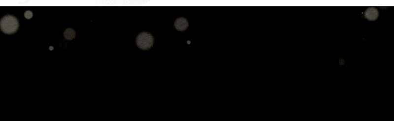 Moshin Hunter chapter 42 page 61