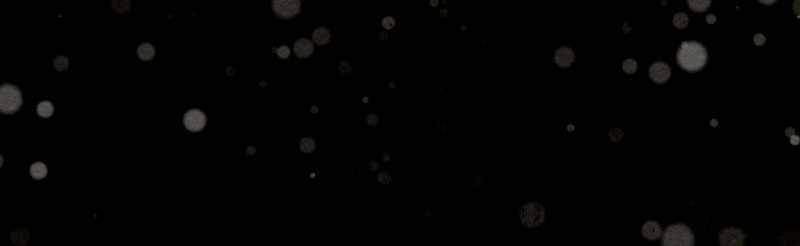 Moshin Hunter chapter 42 page 99