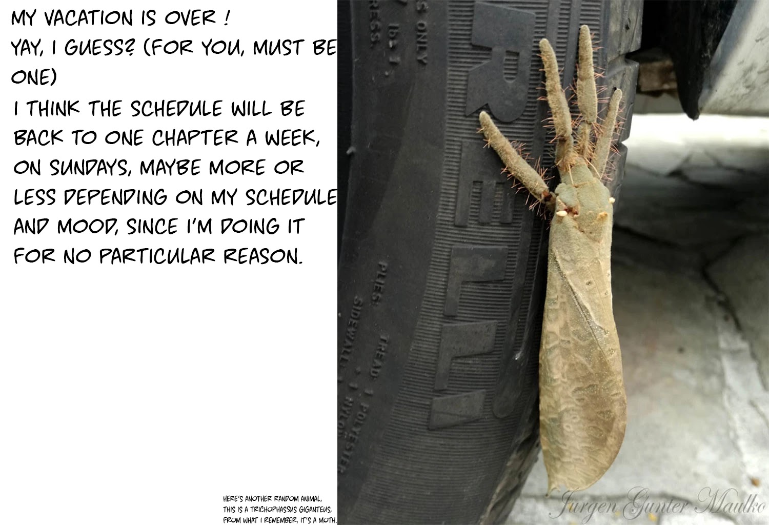 MPD Psycho chapter 95 page 23