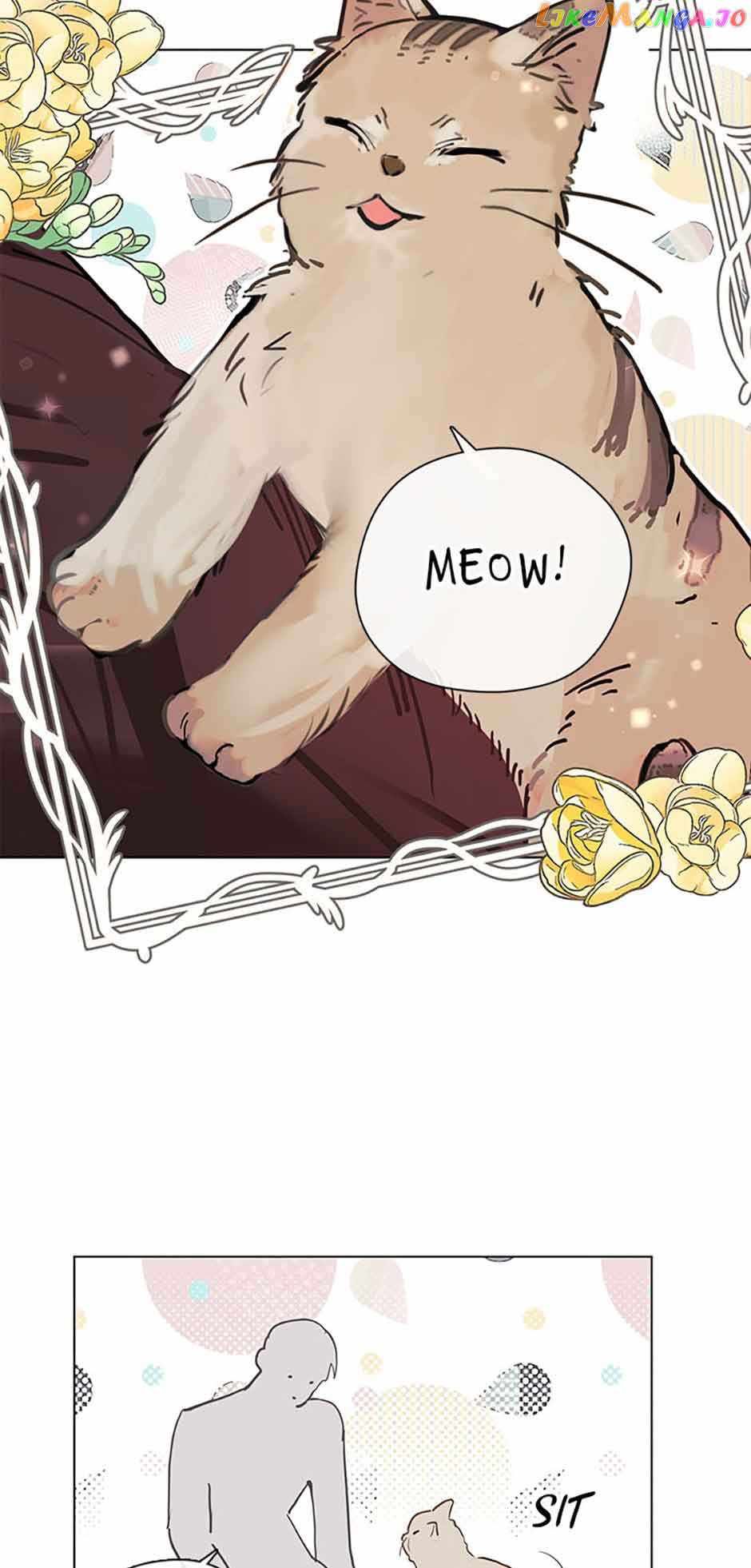 My Family is Obsessed with Me chapter 78 page 36