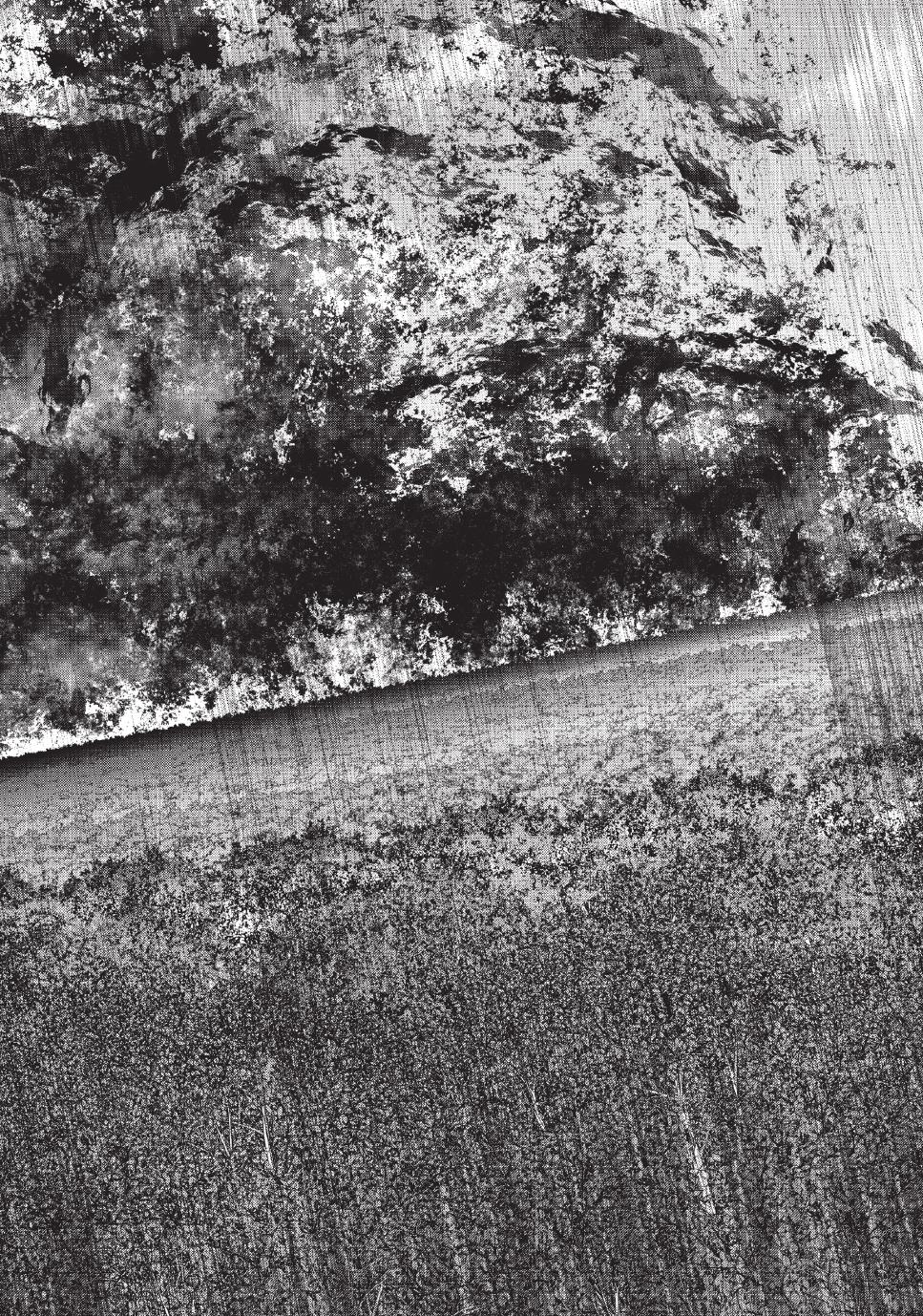 My Gift LVL 9999 Unlimited Gacha chapter 169 page 24