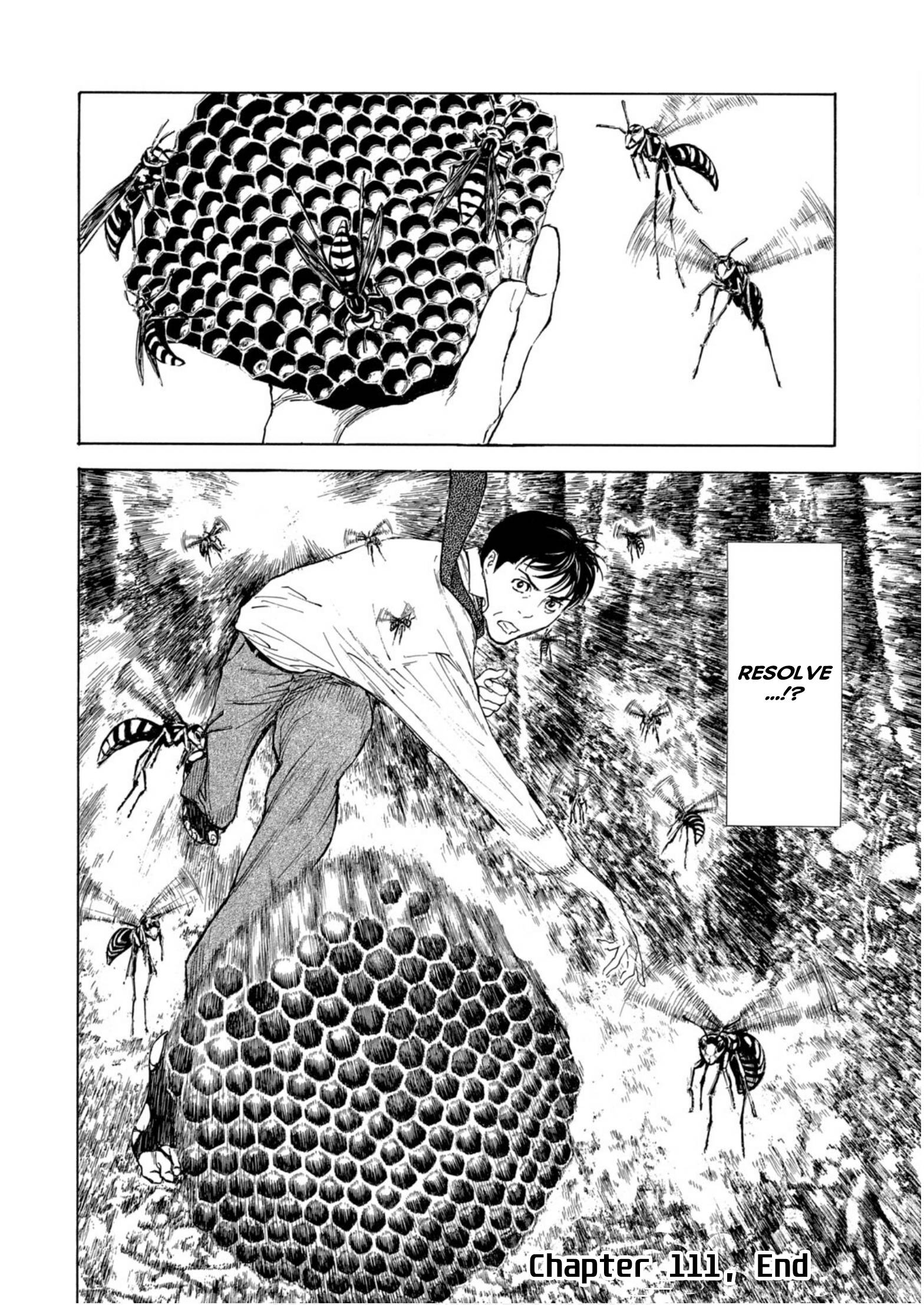 My Home Hero chapter 111 page 20