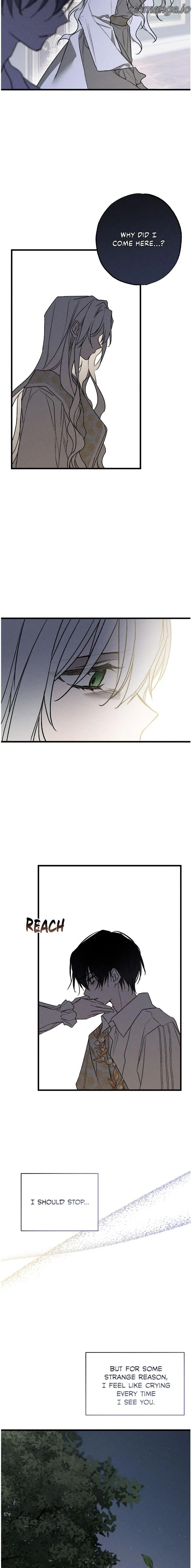 My Husband Who Hates Me Has Lost His Memories chapter 8 page 17