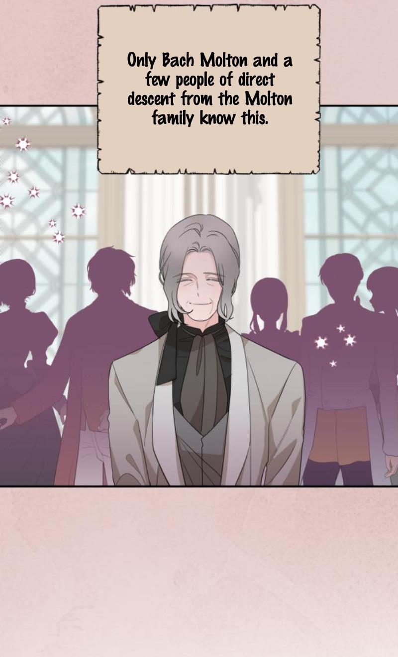 My In-laws Are Obsessed With Me chapter 11 page 19