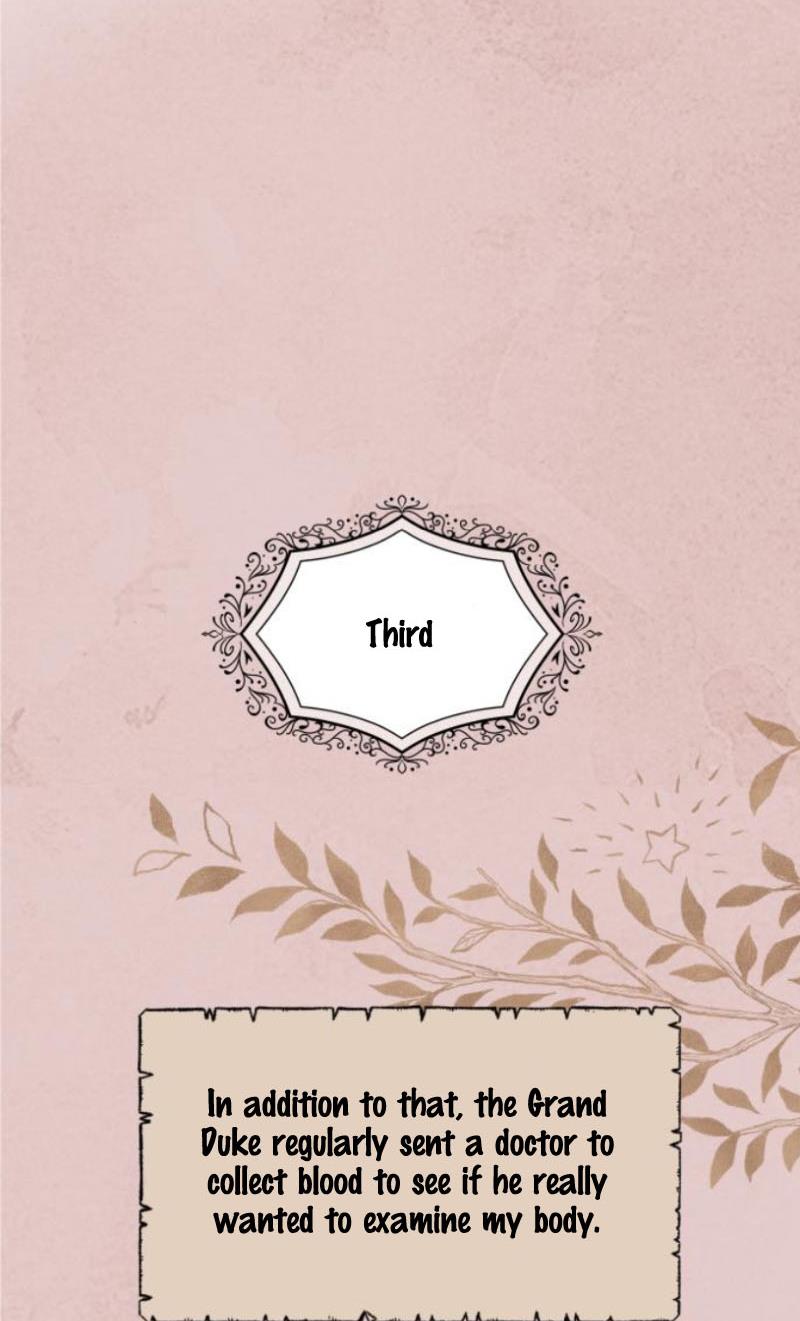 My In-laws Are Obsessed With Me chapter 11 page 22