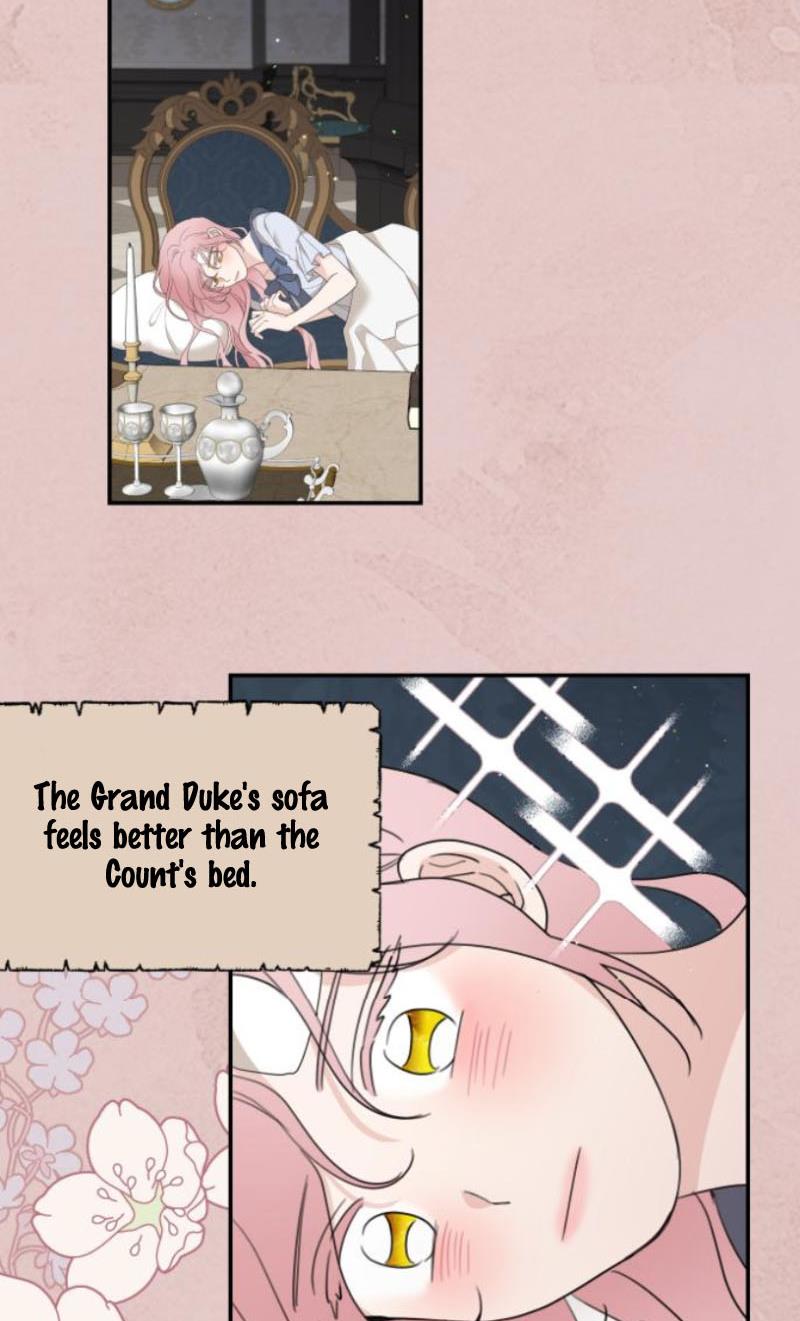 My In-laws Are Obsessed With Me chapter 11 page 28