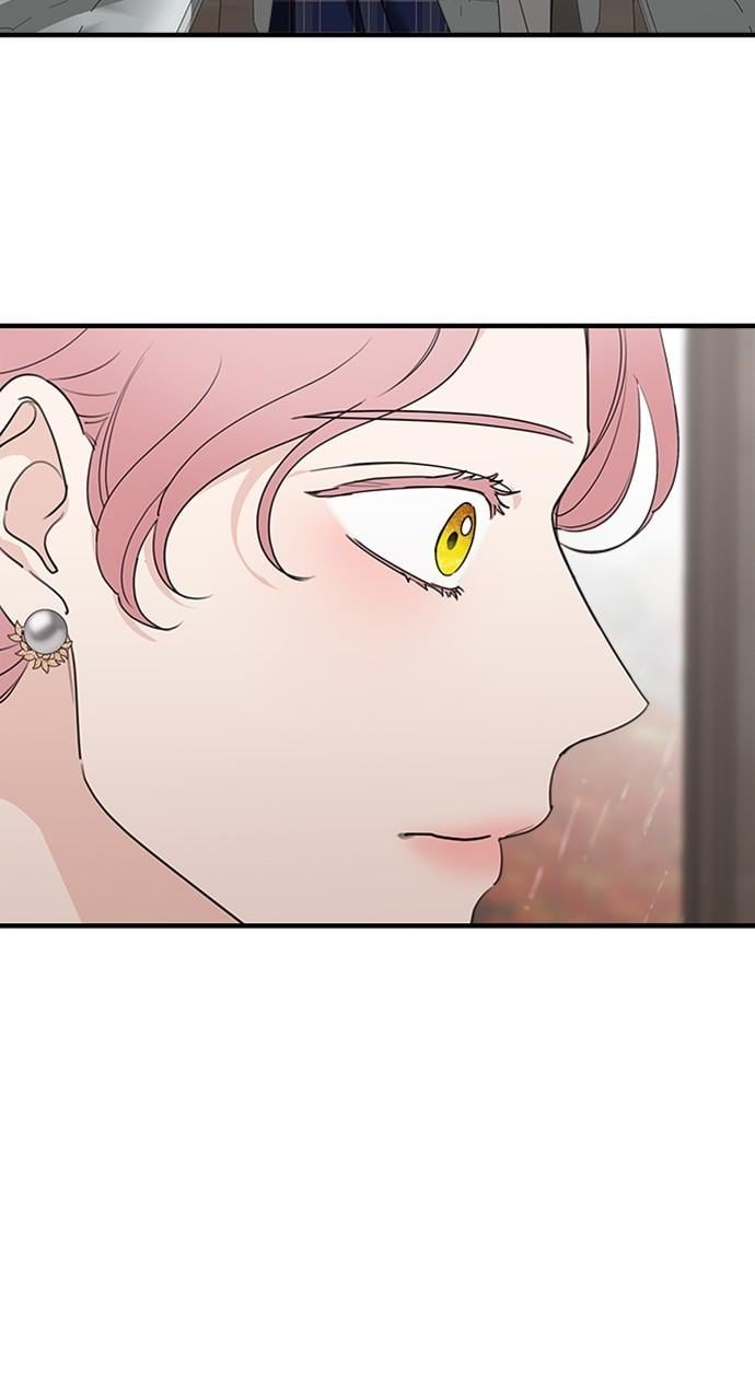 My In-laws Are Obsessed With Me chapter 76 page 25