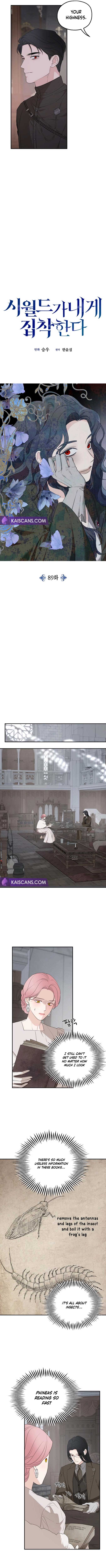 My In-laws Are Obsessed With Me chapter 89 page 2