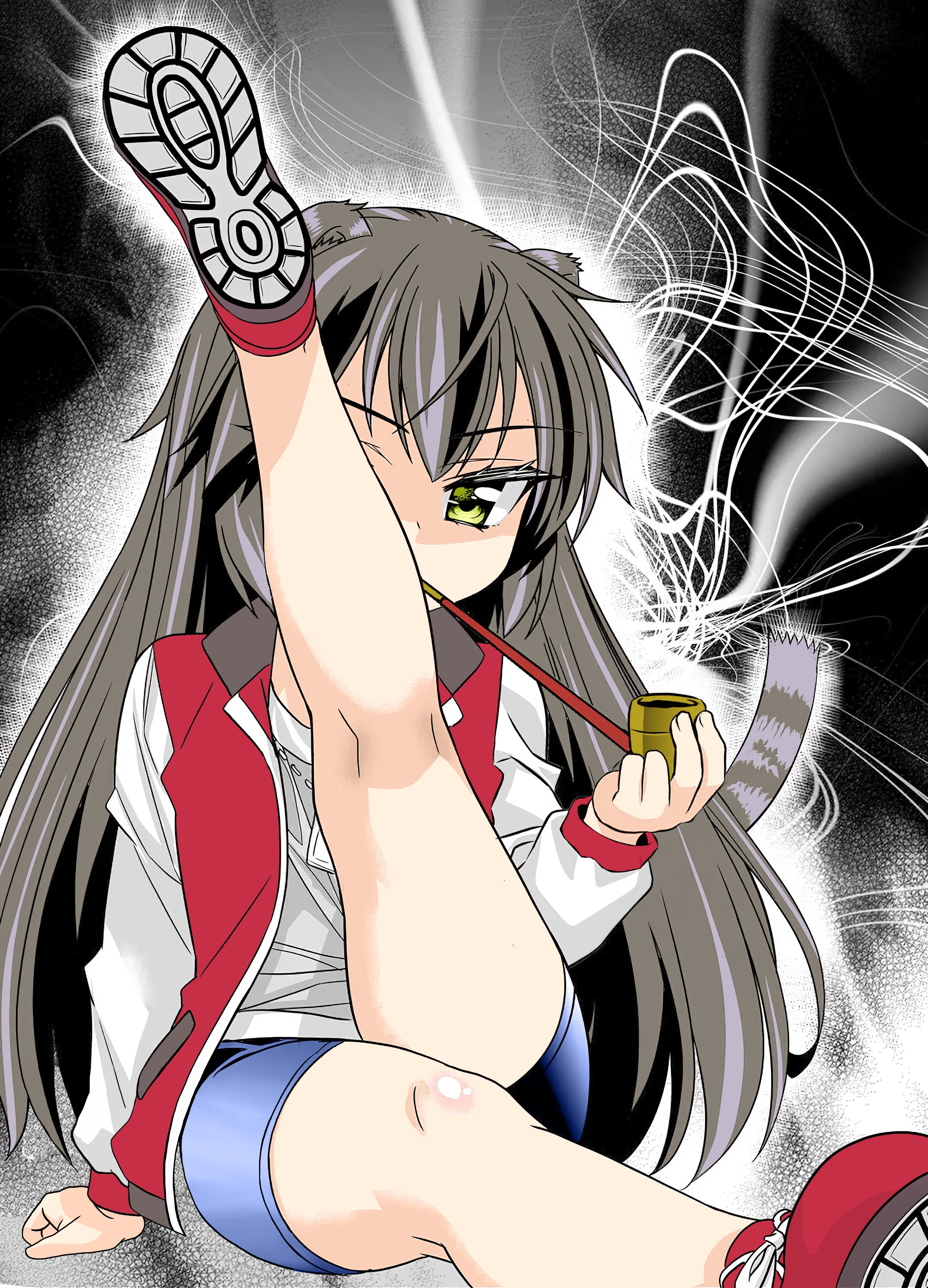 My Love Tiger chapter 201 page 1