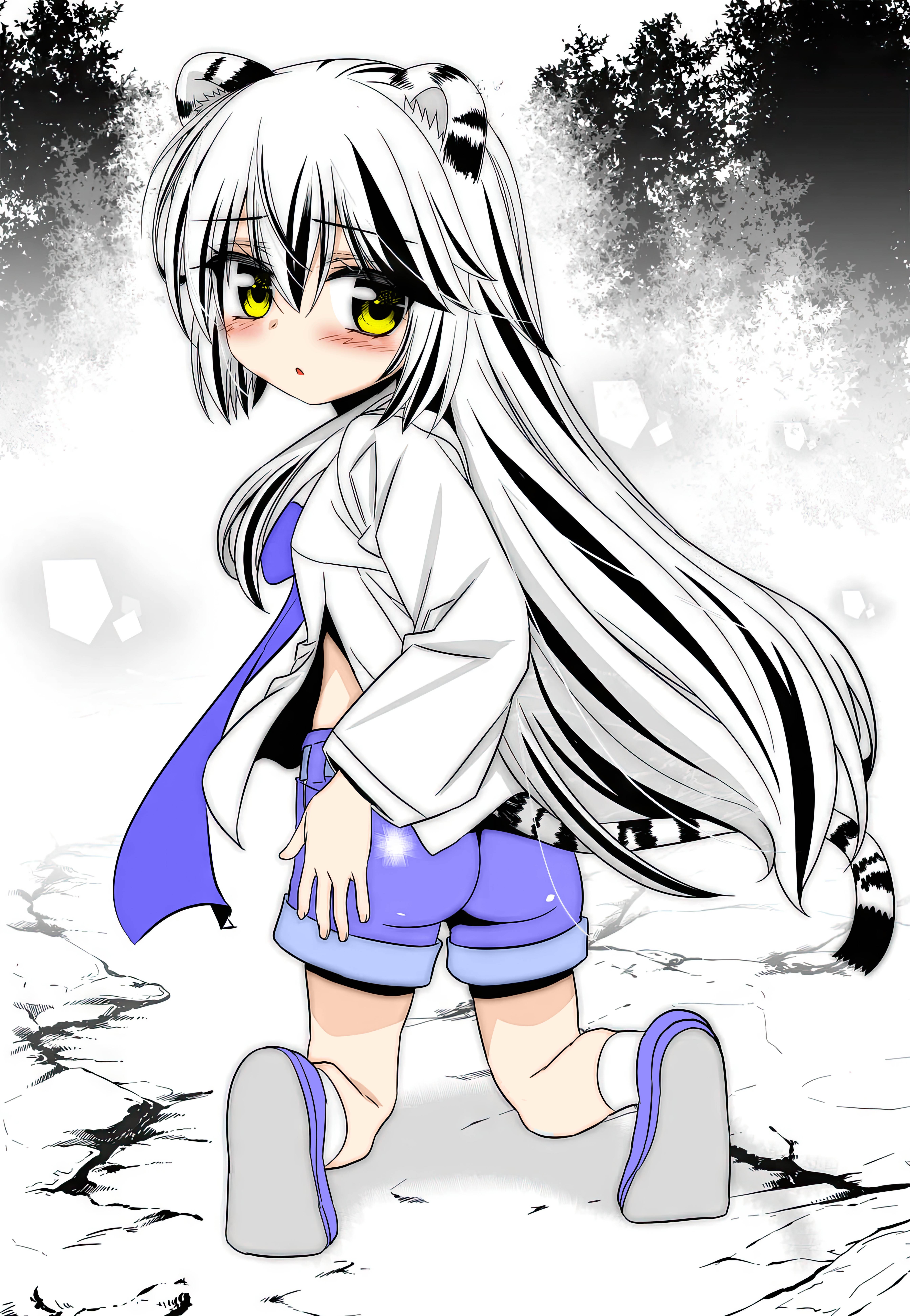 My Love Tiger chapter 241 page 2