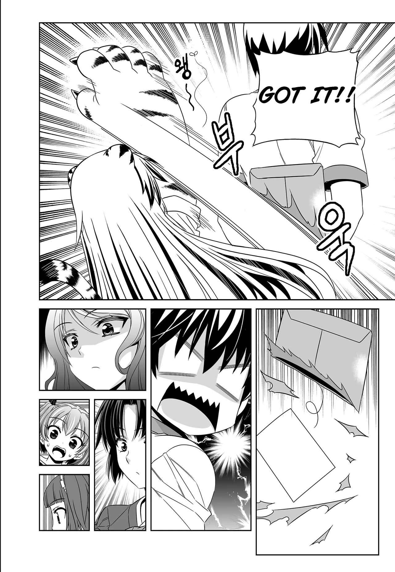 My Love Tiger chapter 251 page 13